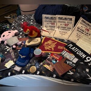 Harry Potter Universal + Pottery Barn Teen Bundle – Hogwarts Decor, Flag, books